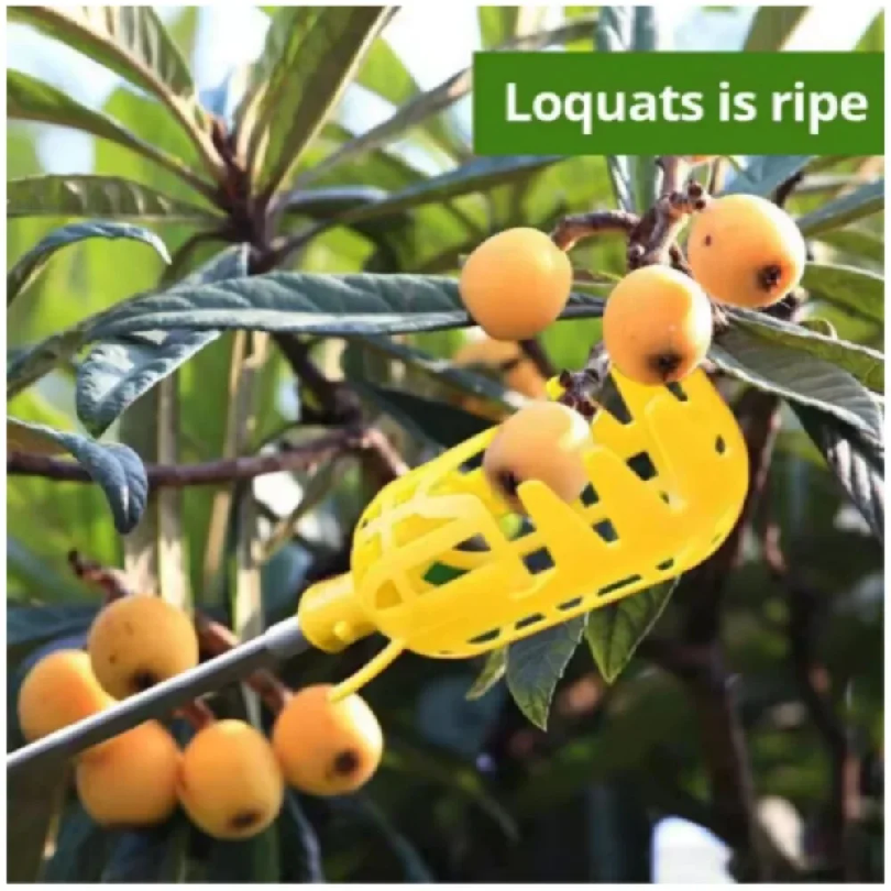 Farm Garden Picking Tools Frui - Gardening Tools Organizer 评论和价格