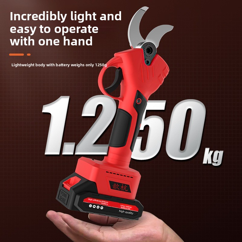 Rechargeable Lithium Battery E - Gardening Yard Tools 评论和价格
