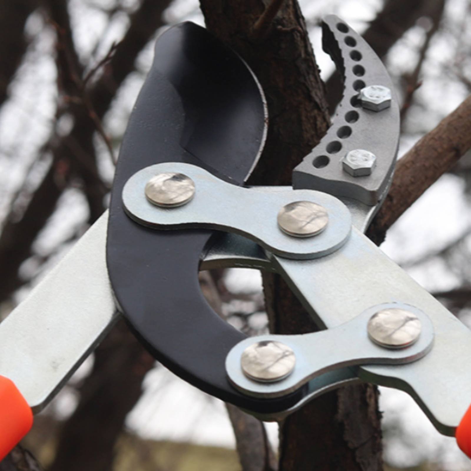 Telescopic Branch Pruners Shar - Gardening Tool 评论和价格