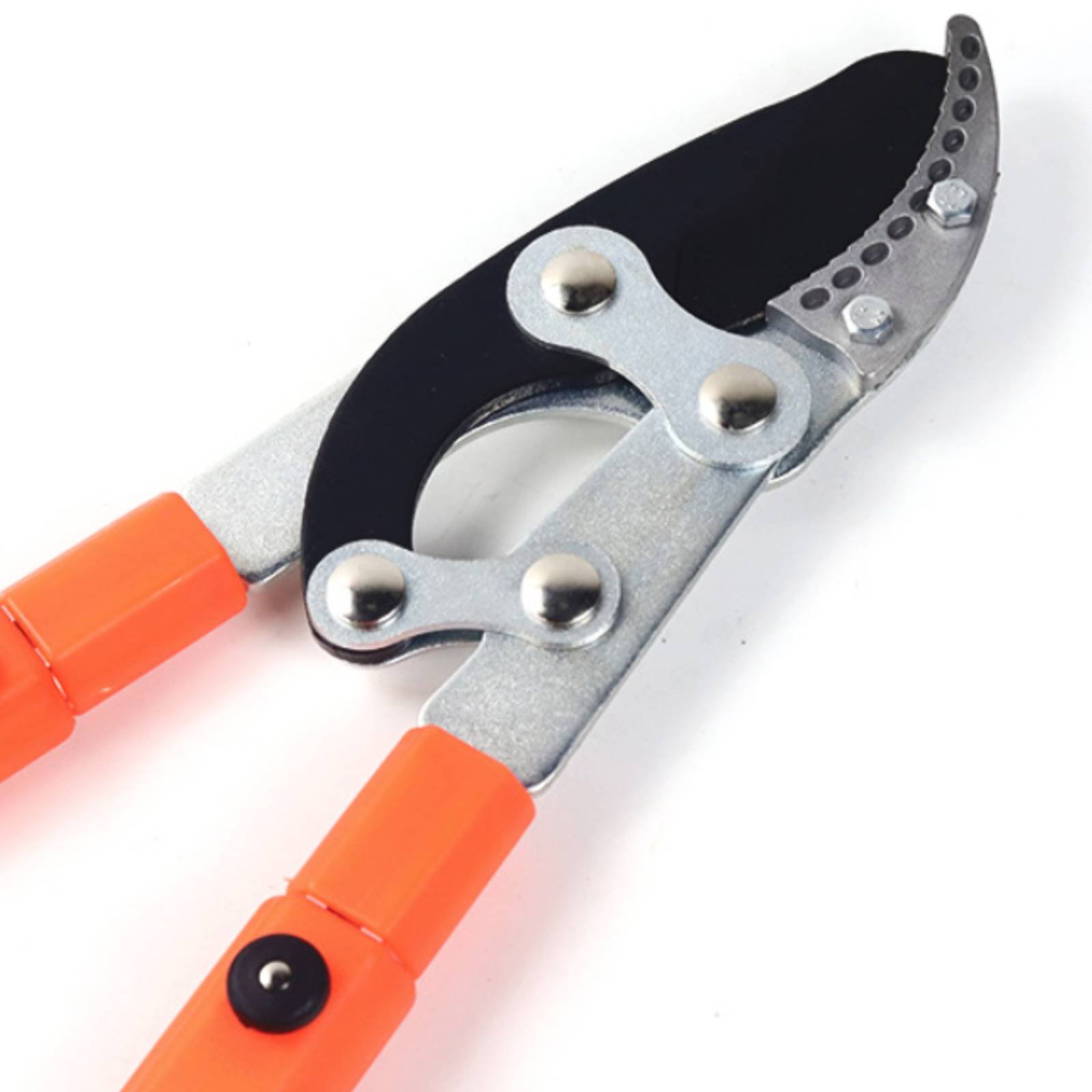 Telescopic Branch Pruners Shar - Gardening Tool 评论和价格