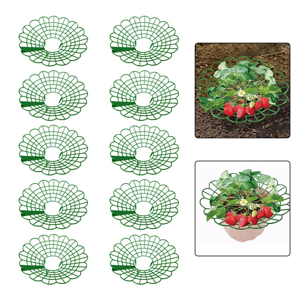 5/10PCS Round Strawberry Brack - Gardening Tools Rack 评论和价格