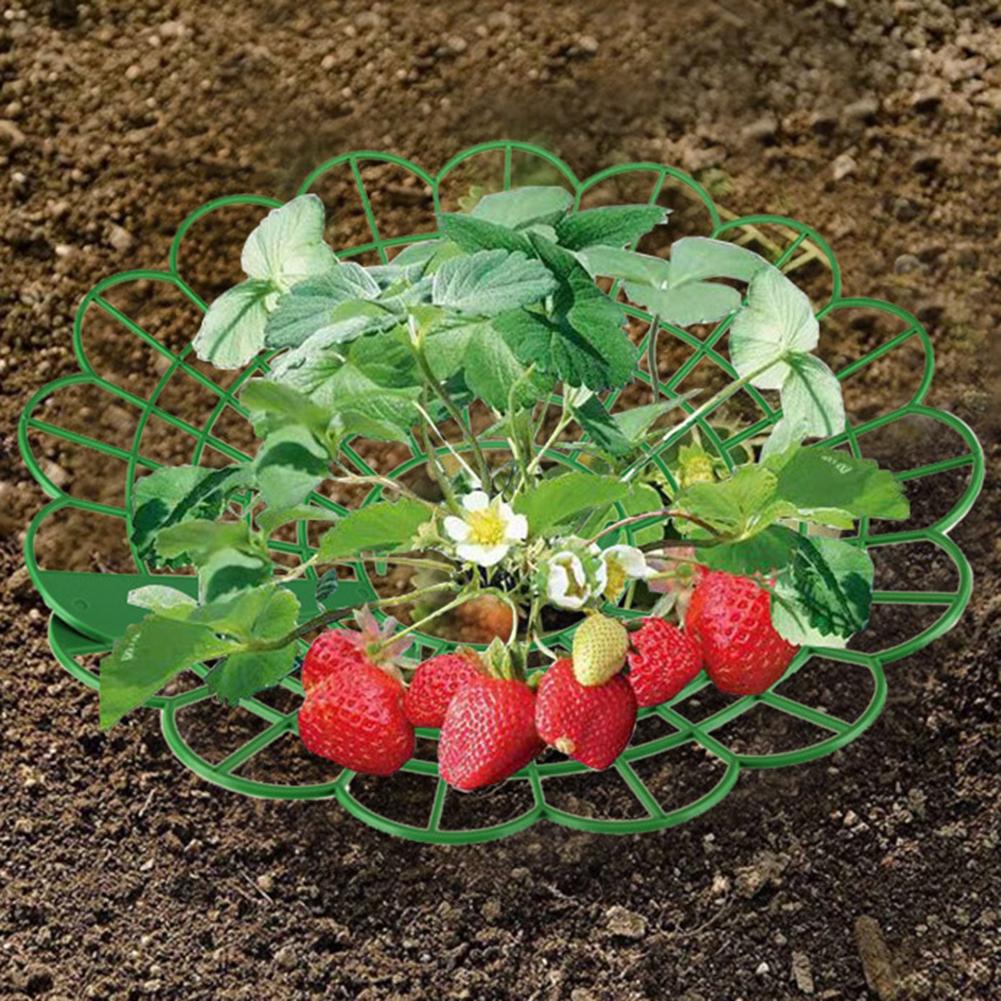 5/10PCS Round Strawberry Brack - Gardening Tools Rack 评论和价格