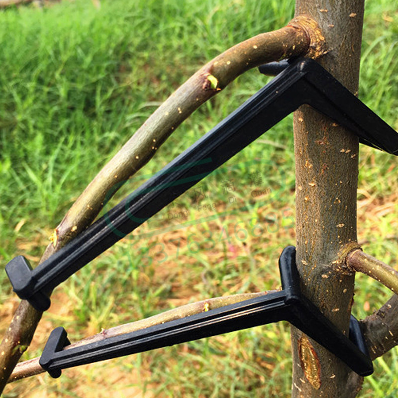 10-30Pcs Fruit Tree Clips Plan - Root Watering Spike 评论和价格