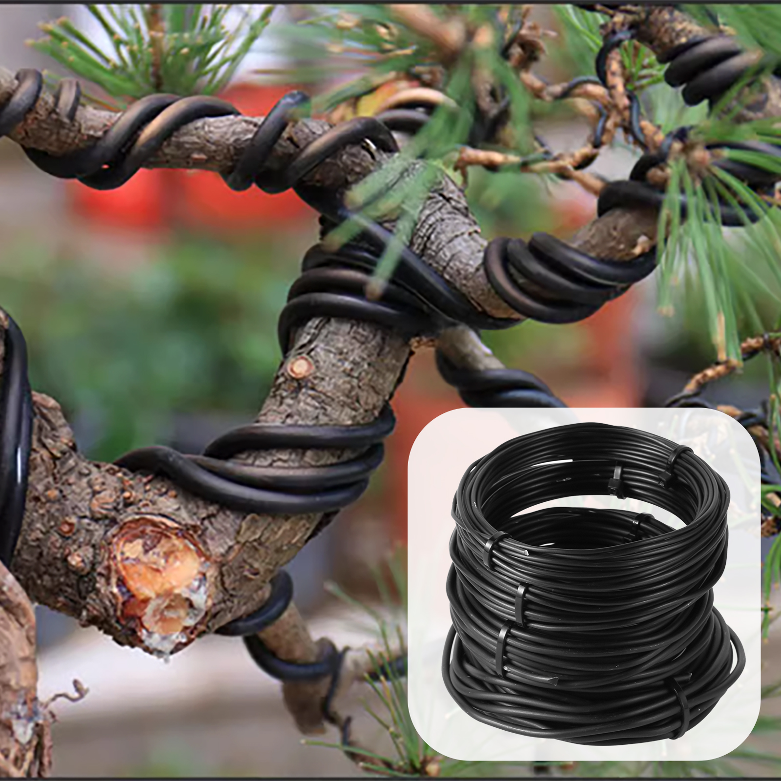 5/10m Bonsai Wire Plant Stand  - Gardening Tools Gifts 评论和价格