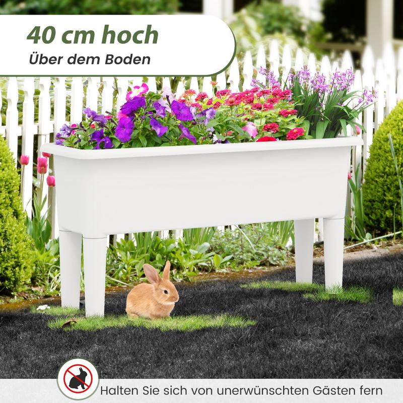2 PCS Raised Garden Beds Self- - Self-Watering Planter 评论和价格