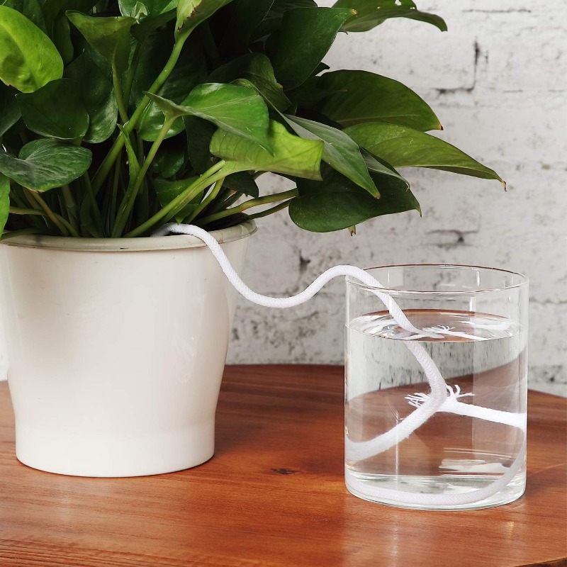 4/5/6mm Self-Watering Cotton R - Root Watering Spike 评论和价格