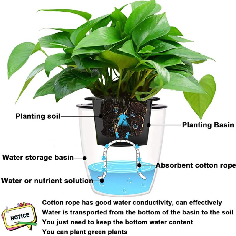 4/5/6mm Self-Watering Cotton R - Root Watering Spike 评论和价格