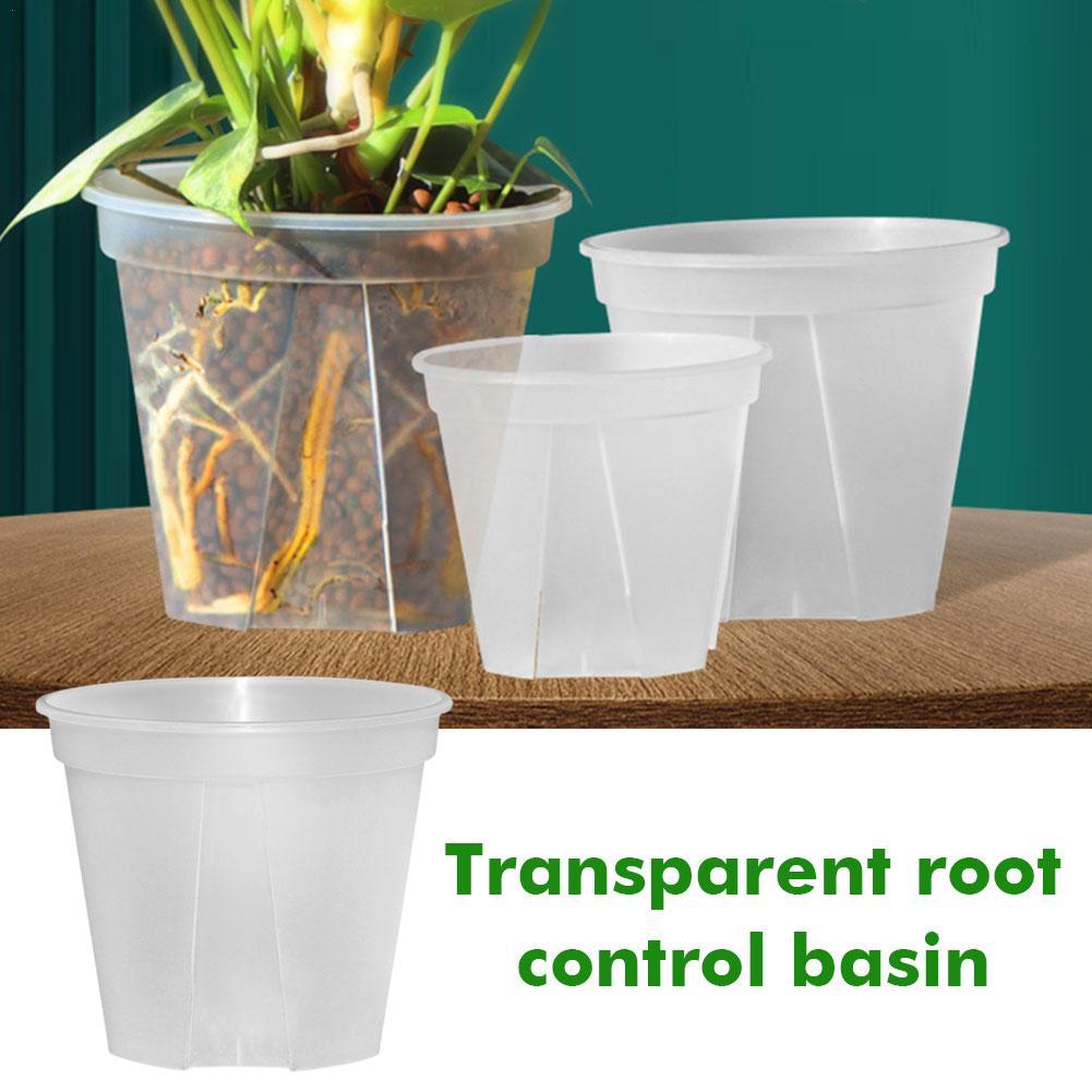 Transparent Plastic Pots Root  - Orchid Potting Mix 评论和价格