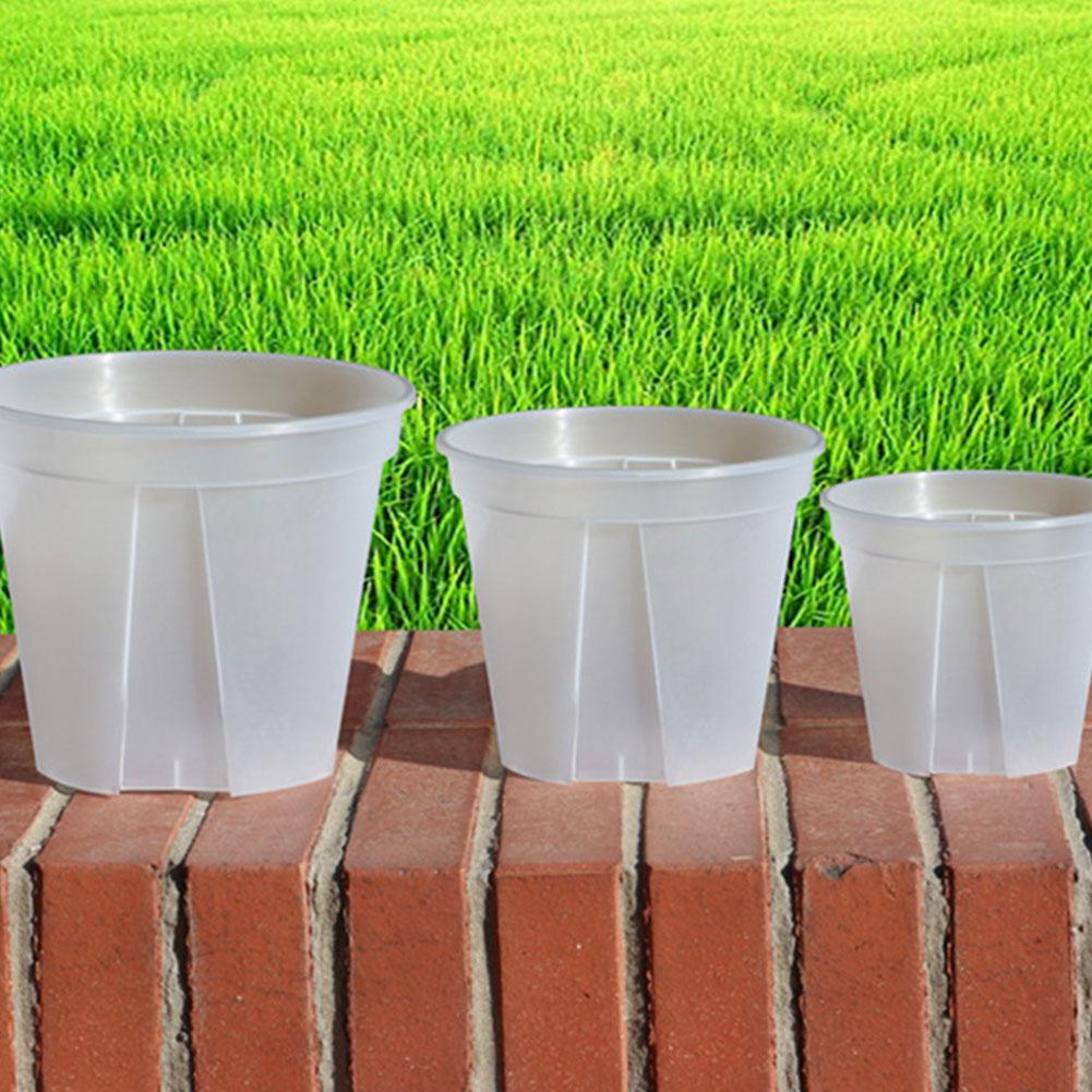 Transparent Plastic Pots Root  - Orchid Potting Mix 评论和价格
