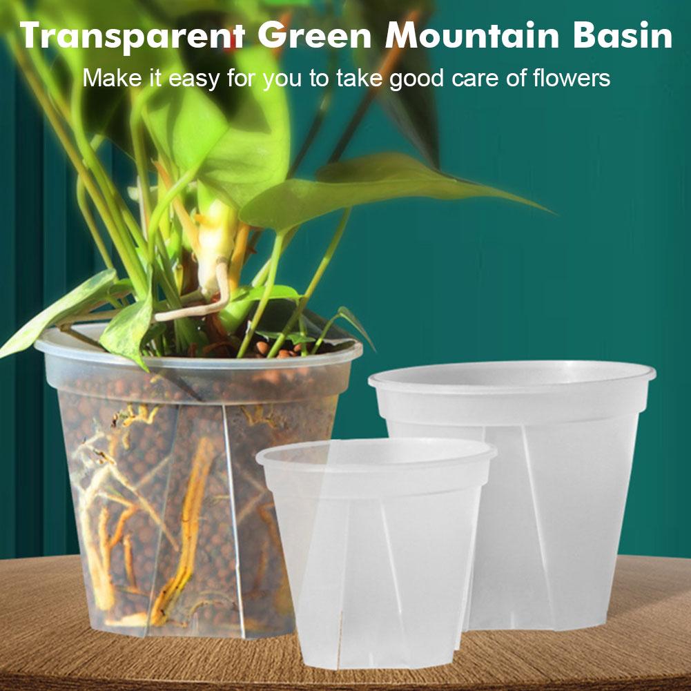 Transparent Plastic Pots Root  - Orchid Potting Mix 评论和价格