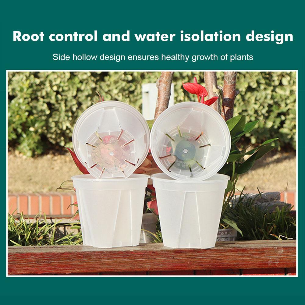 Transparent Plastic Pots Root  - Orchid Potting Mix 评论和价格
