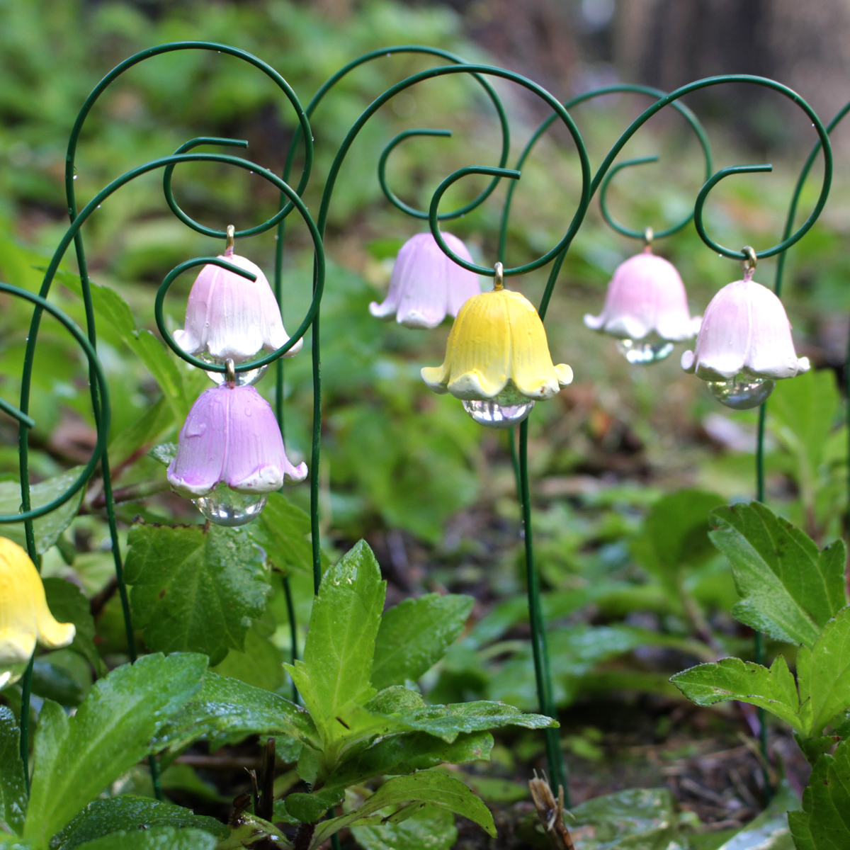 9pcs,Lily Of The Valley That W - Gardening Tools Store 评论和价格