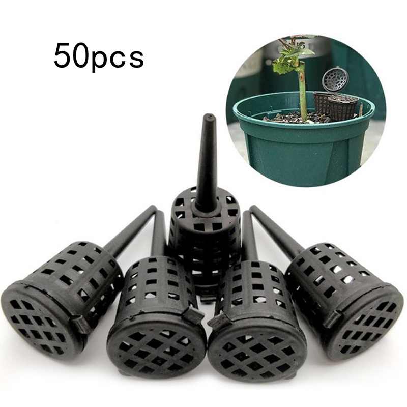 50 Pcs/pack Plants Fertilizer  - Orchid Potting Mix 评论和价格