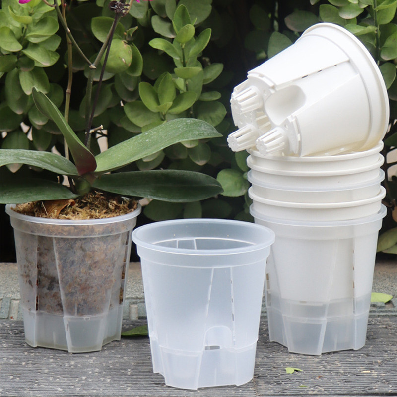 5pcs Transparent Orchid Pot wi - Orchid Potting Mix 评论和价格