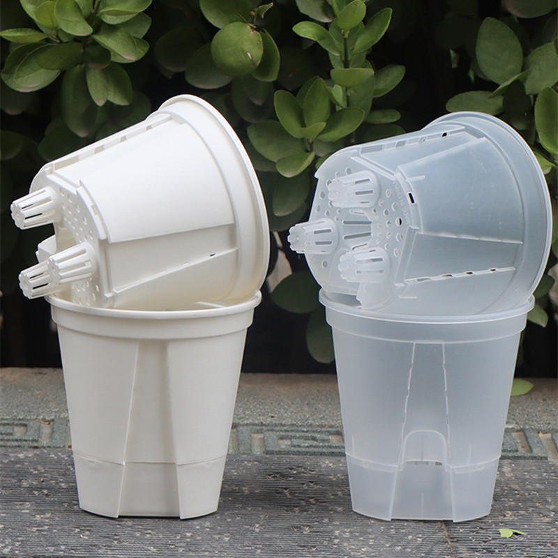 5pcs Transparent Orchid Pot wi - Orchid Potting Mix 评论和价格
