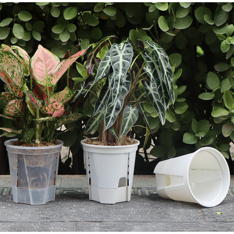 5pcs Transparent Orchid Pot wi - Orchid Potting Mix 评论和价格